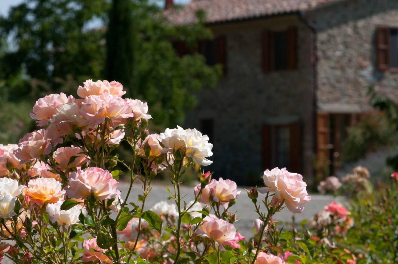 Agriturismo Le Valli Casciana Terme Zewnętrze zdjęcie